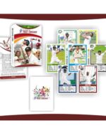 Aamango International Cricket Collection (T20 + Test Legends + ODI Legends) - Image 3